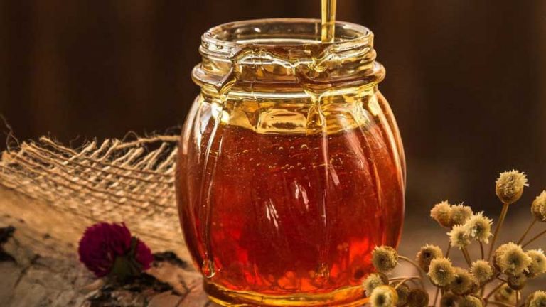 Best Australian Honey – Reviews of The Top Brands (2022)