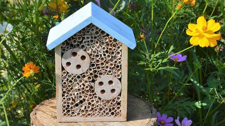 The 10 Best Mason Bee Houses