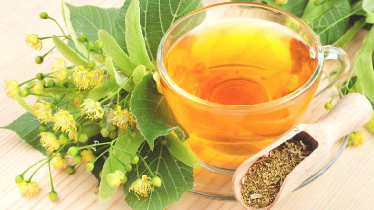 10 Linden Flower Tea Benefits That Will Amaze You!