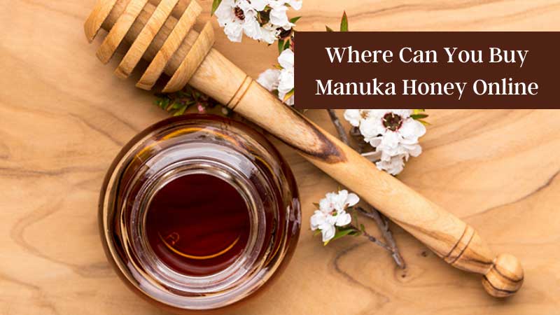 Where Can You Buy Manuka Honey Online